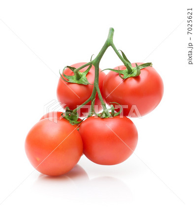 ripe tomatoes on a white background 7025621