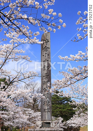 桜咲く白石城(益岡城) 桜咲く白石城(益岡城) 7025702