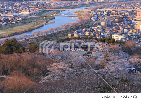 船岡城祉から一目千本を望む 船岡城祉から一目千本を望む 7025785