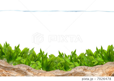 Aquarium background 7026478