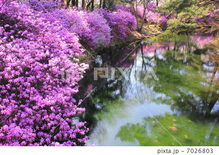 馬見塚公園 馬見塚公園 7026803