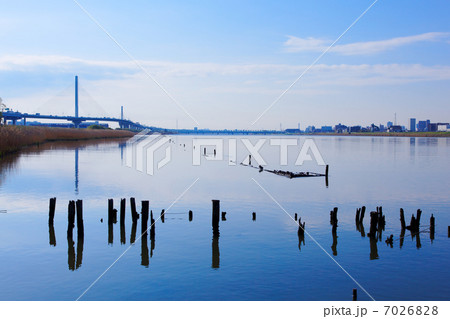 荒川の川原より青空が広がるかつしかハープ橋と川面に映える景観を臨む 7026828