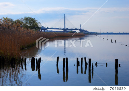 荒川の川原より青空が広がるかつしかハープ橋と川面に映える景観を臨む 7026829