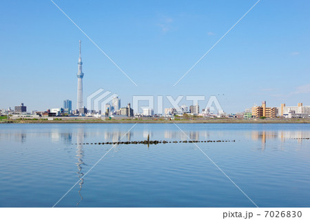 荒川の川原より青空が広がる東京スカイツリーと川面に映える景観を臨む 7026830