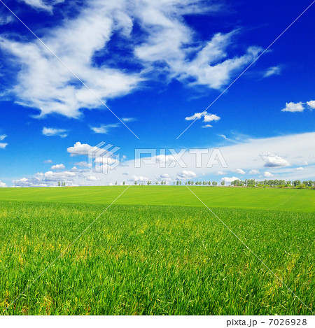 spring field spring field 7026928
