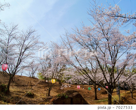 苗木さくら公園The Naegi Park:Cherry blossoms Viewing Spot 苗木さくら公園The Naegi Park:Cherry blossoms Viewing Spot 7027533