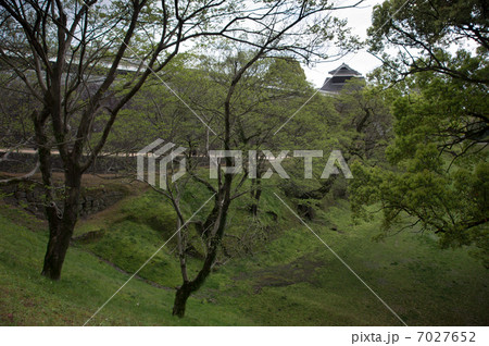 熊本城　空堀 7027652