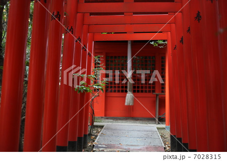 神社の鳥居 7028315