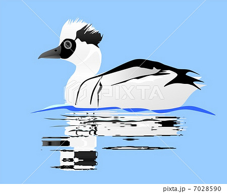 ミコアイサ ミコアイサ 7028590