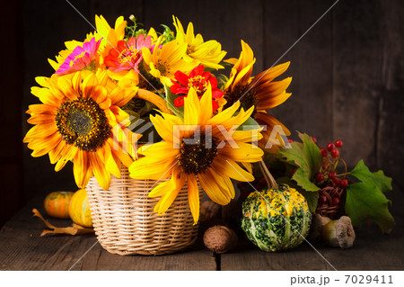 Still life in colours of autumn 7029411