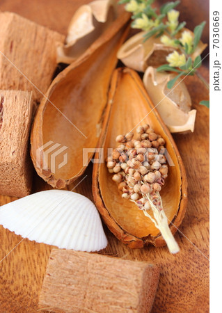 ポプリ~海の香り ポプリ~海の香り 7030669