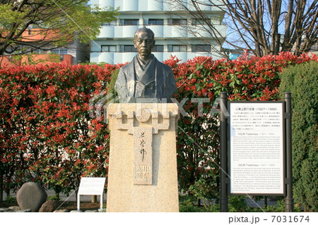 横須賀港を望む美しいヴェルニー公園を訪れて 横須賀港を望む美しいヴェルニー公園を訪れて 7031674