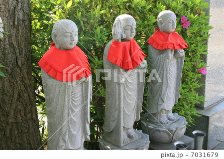 湘南七福神寿老人が祀られている光照寺を訪れて 湘南七福神寿老人が祀られている光照寺を訪れて 7031679