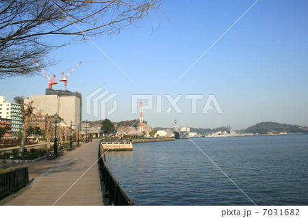 横須賀港を望む美しいヴェルニー公園を訪れて 7031682