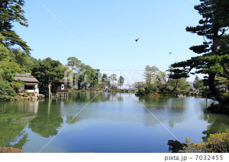 春の兼六園（霞ヶ池） 7032455