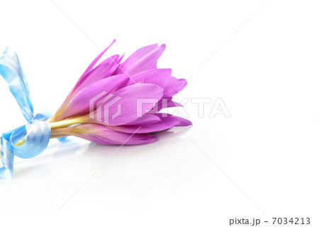 bouquet of crocus bouquet of crocus 7034213