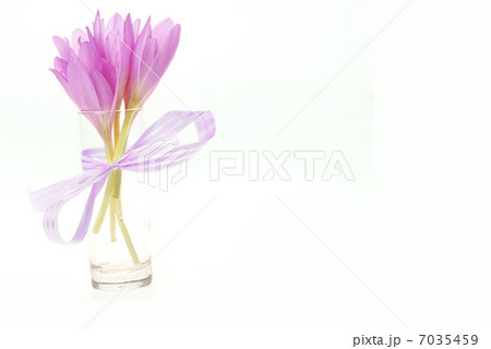 bouquet of crocus bouquet of crocus 7035459