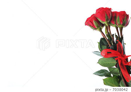 beautiful red roses 7038042
