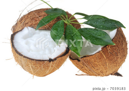 coconut and leaves coconut and leaves 7039183