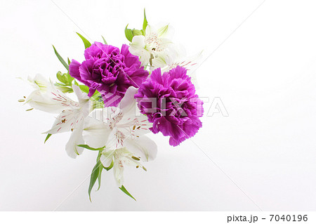 紫のカーネーションとアルストロメリアのアレンジ（横　左） 7040196