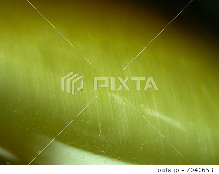 タイガーアイ顕微鏡写真 7040653