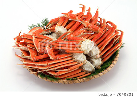 かに ズワイガニ かにザル盛り 浜茹でがに ズワイガニ3kg 海の幸 かに ズワイガニ かにザル盛り 浜茹でがに ズワイガニ3kg 海の幸 7040801