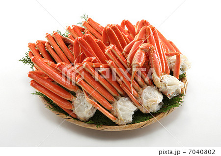 かに ズワイガニ かにザル盛り 浜茹でがに ズワイガニ3kg 海の幸 かに ズワイガニ かにザル盛り 浜茹でがに ズワイガニ3kg 海の幸 7040802