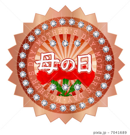 母の日　カーネーション　メダル　フレーム 7041689