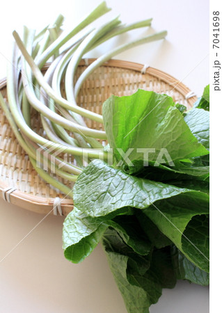 わさびの茎 7041698