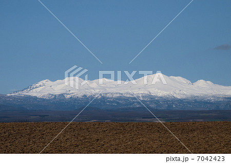 春の大雪山 7042423