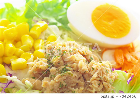 ツナサラダ ツナサラダ 7042456