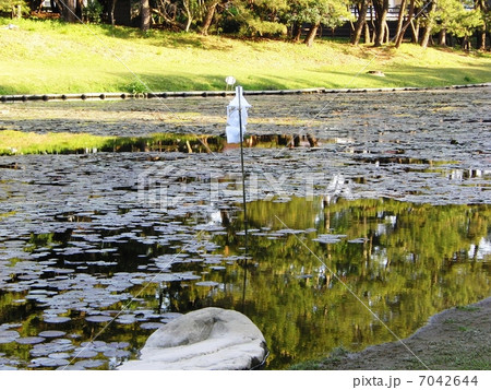 みそぎ池 7042644