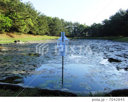 みそぎ池 7042645