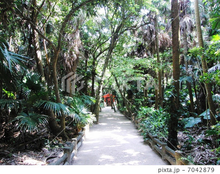 青島神社　祈りの古道 7042879