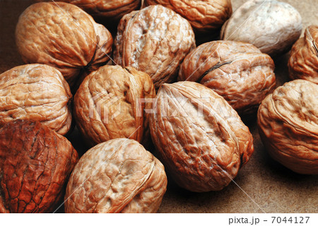 walnuts in shell walnuts in shell 7044127