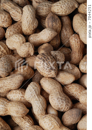 peanuts in shell 7044251
