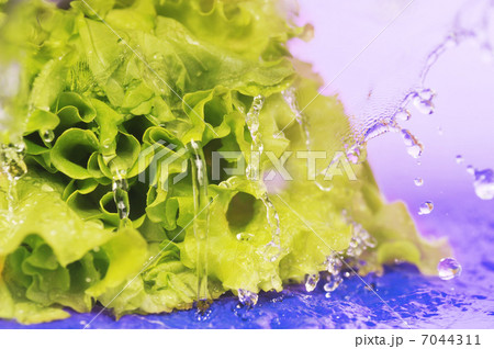 green salad green salad 7044311