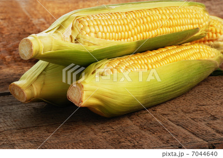 Fresh corn 7044640
