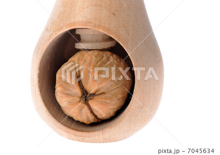 walnut inserted into nutcracker 7045634