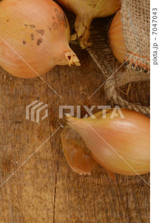 fresh onion fresh onion 7047043