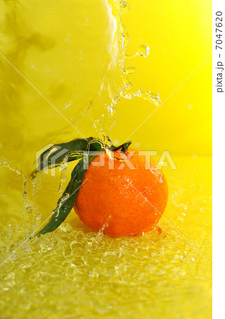 tangerine and water splashes 7047620
