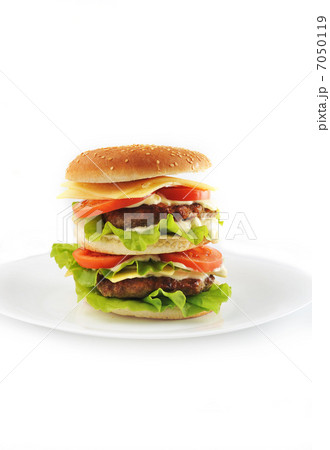hamburger with cutlet hamburger with cutlet 7050119