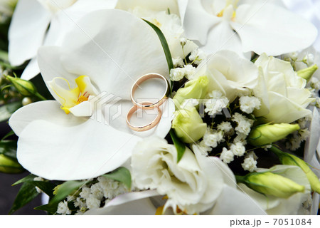 orchids and wedding rings orchids and wedding rings 7051084