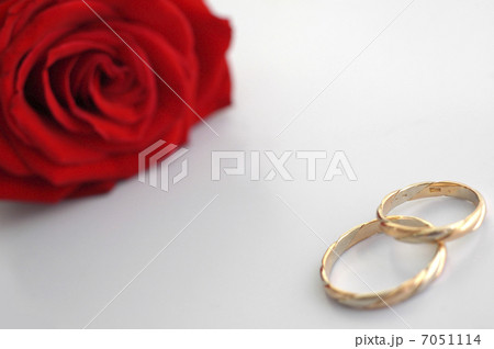 red rose with rings 7051114