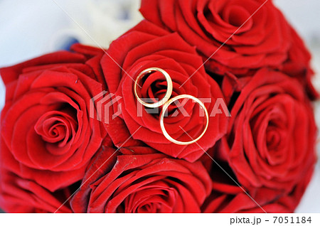 roses and gold rings 7051184
