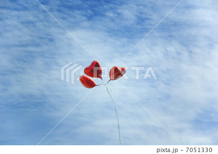 balloons in sky balloons in sky 7051330