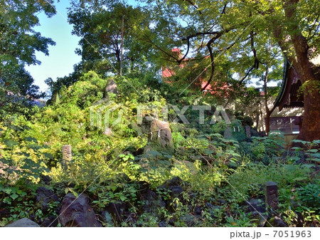 小野照崎神社の富士塚(東京都台東区) 小野照崎神社の富士塚(東京都台東区) 7051963