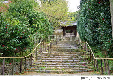 白毫寺の参道 7051976