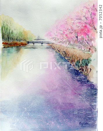 桜のトンネル　スケッチ画　海津大橋　高島市　さくら名所１００選 7052342