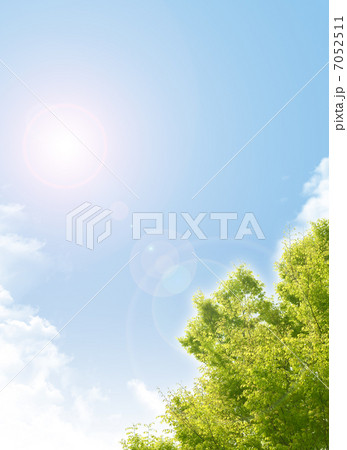 太陽と新緑 太陽と新緑 7052511